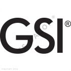 GSI