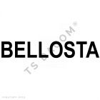 BELLOSTA