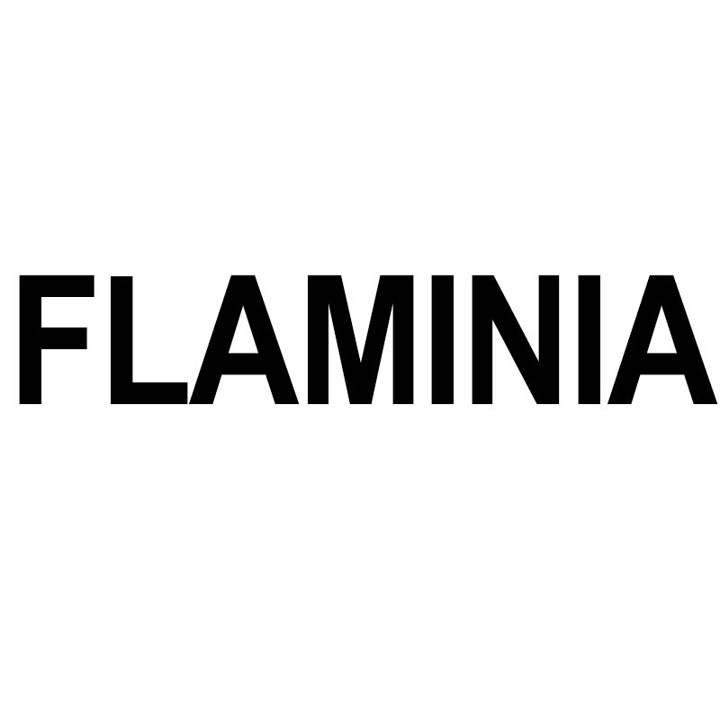 FLAMINIA